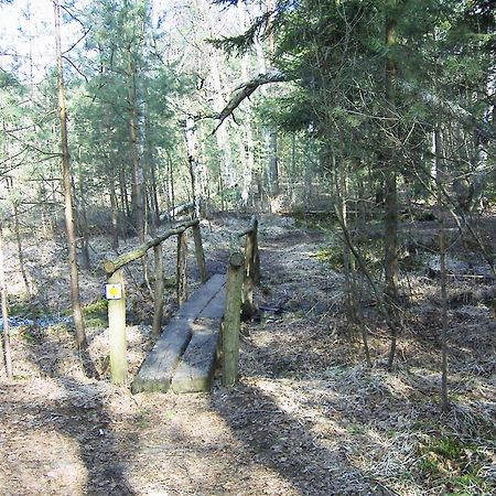 Fewoamglubigsee Wendisch Rietz Εξωτερικό φωτογραφία