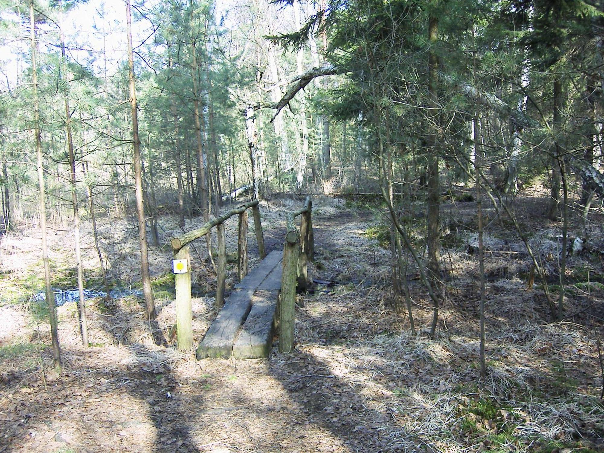Fewoamglubigsee Wendisch Rietz Εξωτερικό φωτογραφία